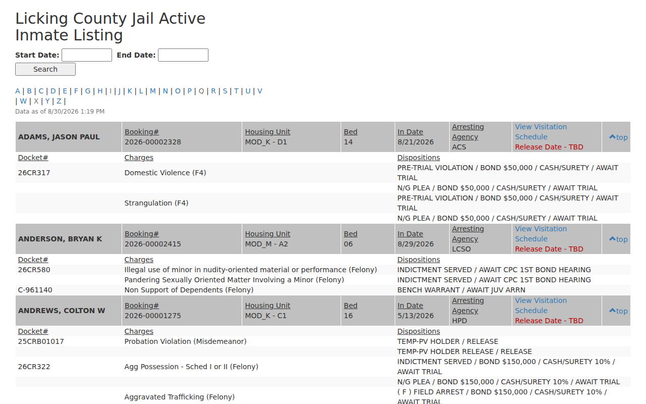 Reynoldsburg resident lookup Licking County custody index scope